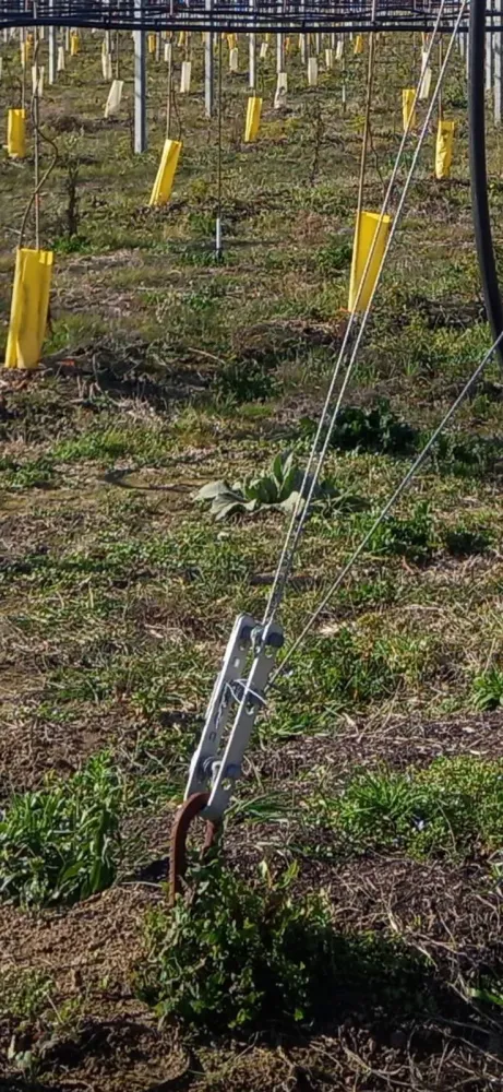 TENDEUR AMARRE