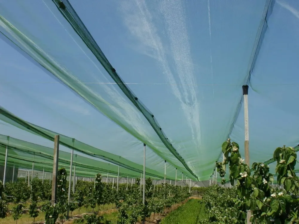 exemple-realisation-agricole.jpg