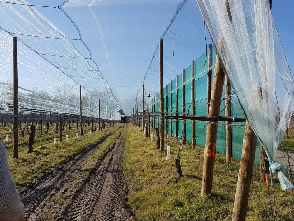 solution-agricole-protection-cultures.jpg
