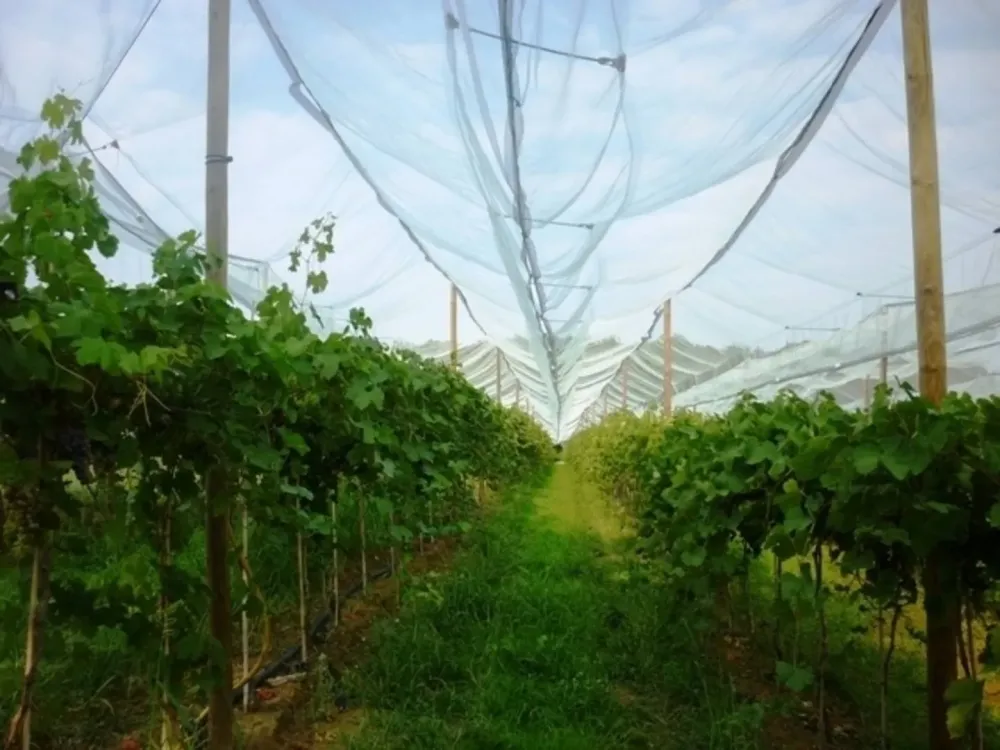 solution-de-protection-agricole.jpg