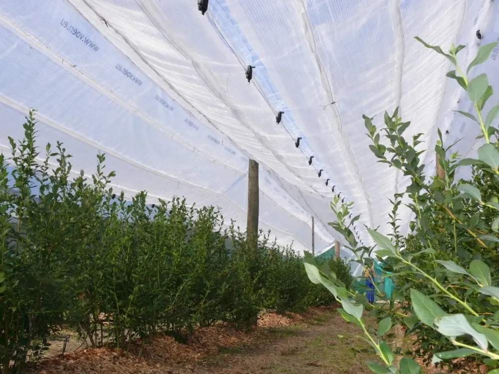 exemple-de-protection-agricole.jpg