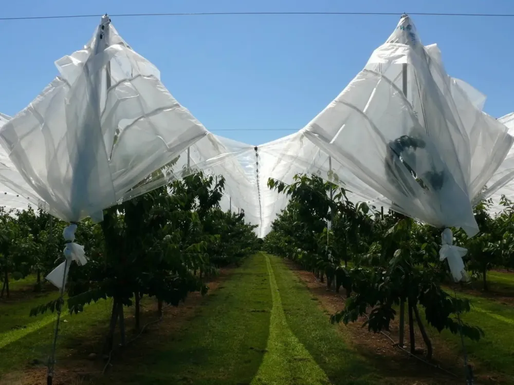 exemple-projet-agricole.jpg