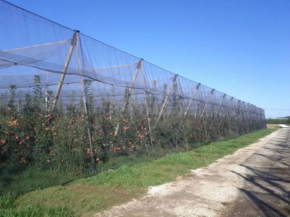 projet-de-protection-cultures-lot-et-garonne.jpg