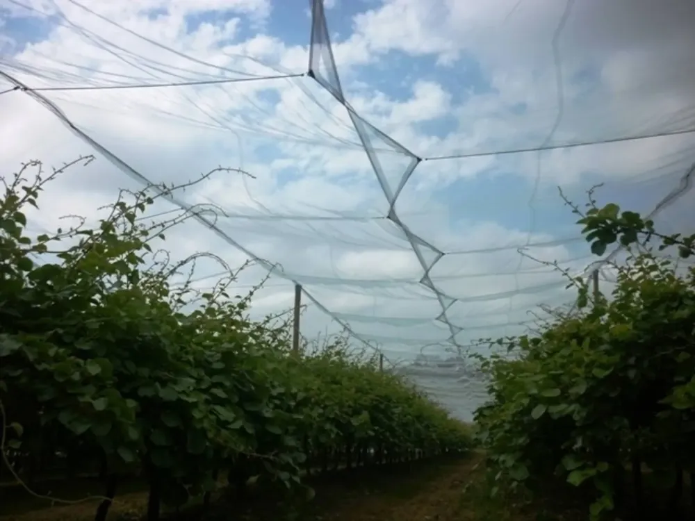 protection-cultures-en-lot-et-garonne.jpg