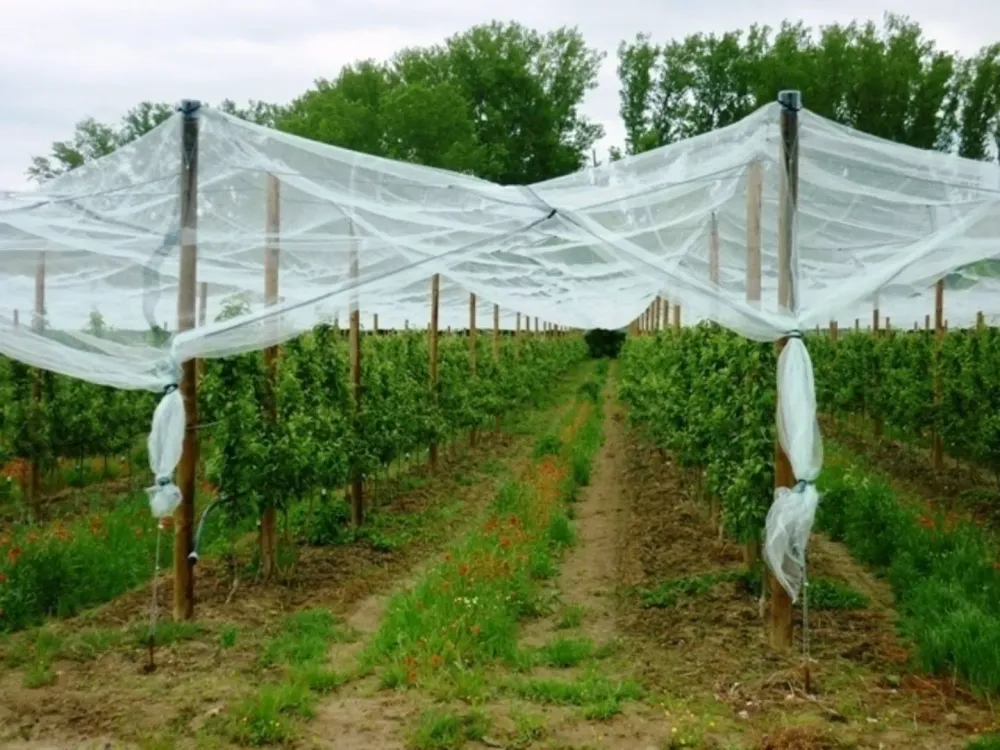 realisation-installation-agricole.jpg