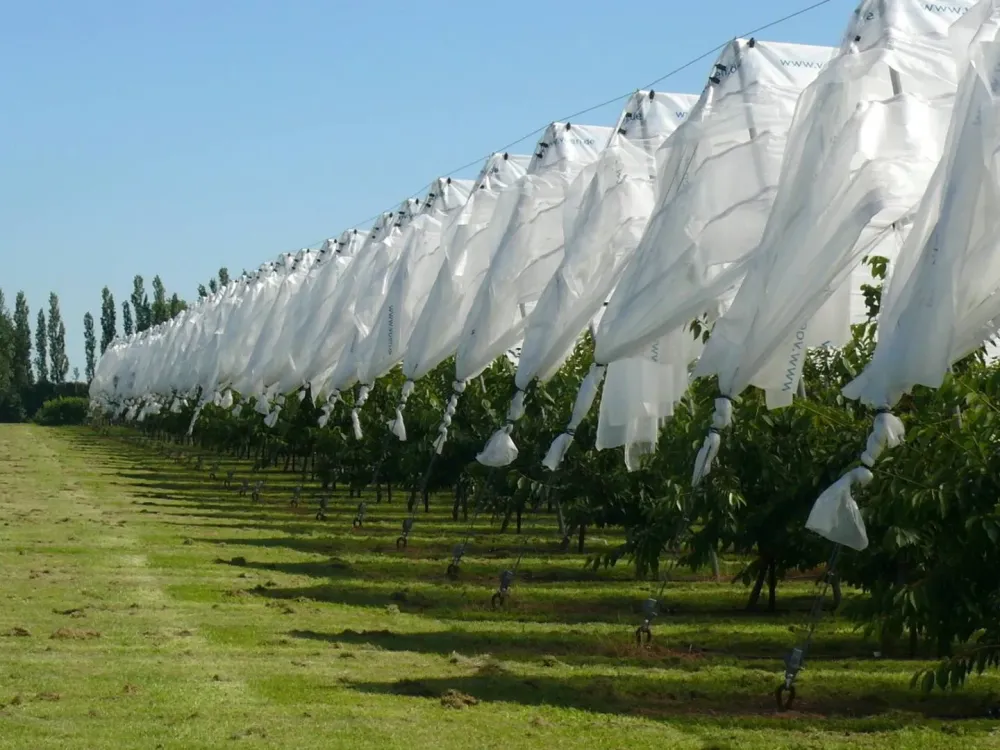 solution-protection-agricole-lot-et-garonne.jpg