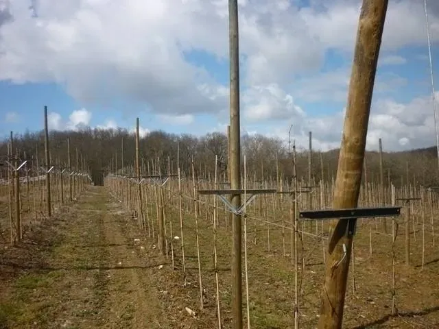 chantier-installation-agricole-lot-et-garonne.jpg