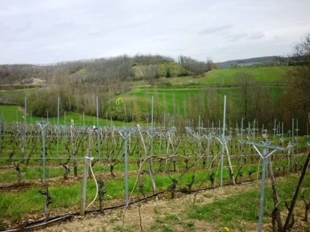 installation-filets-agricoles-lot-et-garonne.jpg