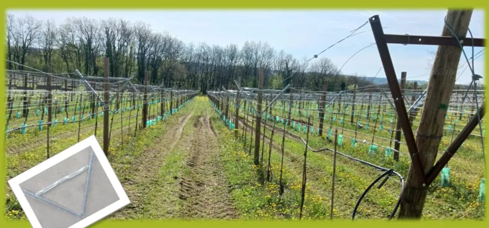 projet-cultures-agricoles-lot-et-garonne.jpg