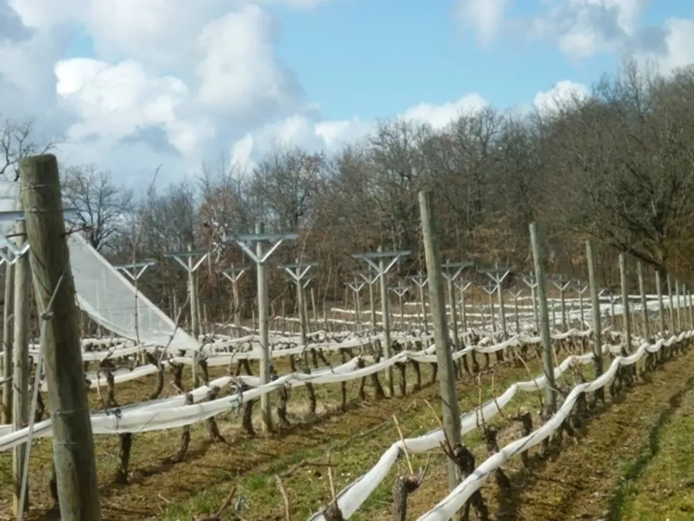 projet-protection-vergers-lot-et-garonne.jpg