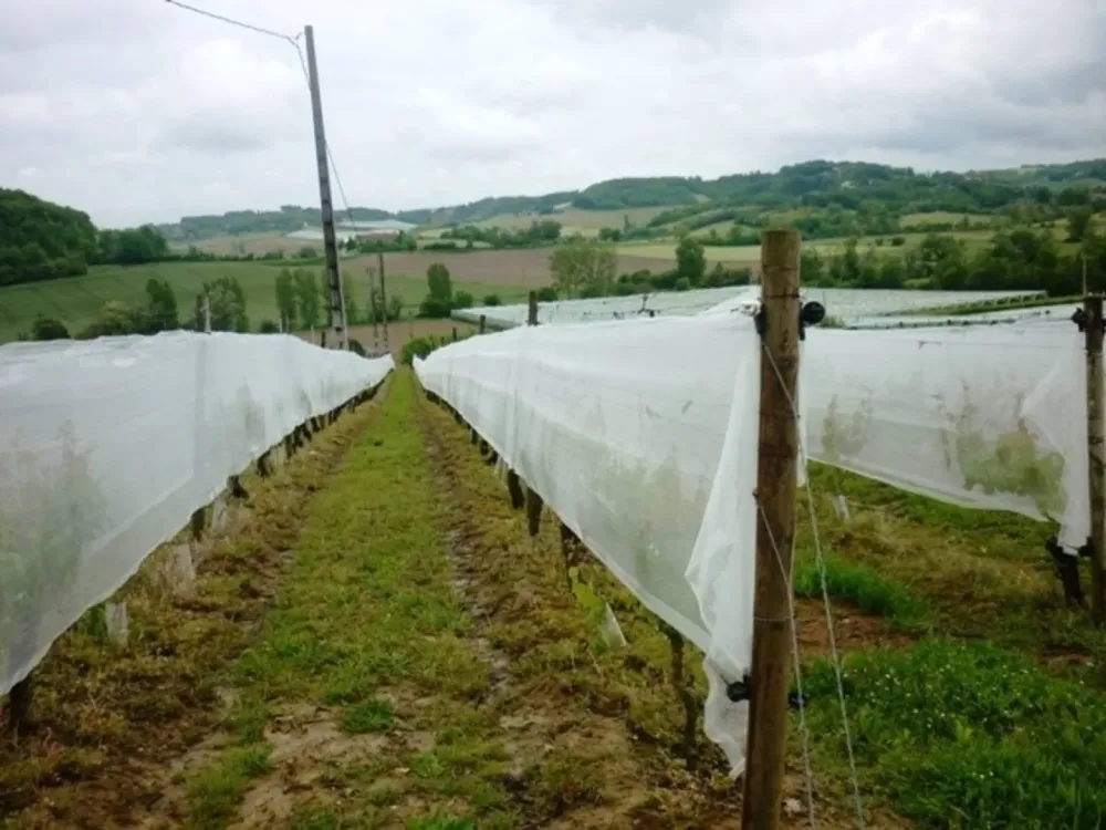 solution-agricole-en-lot-et-garonne.jpg