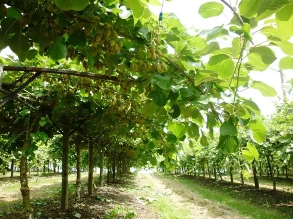 installation-agricole-professionnelle.jpg