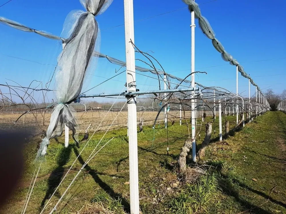 installation-en-exploitation-agricole.jpg