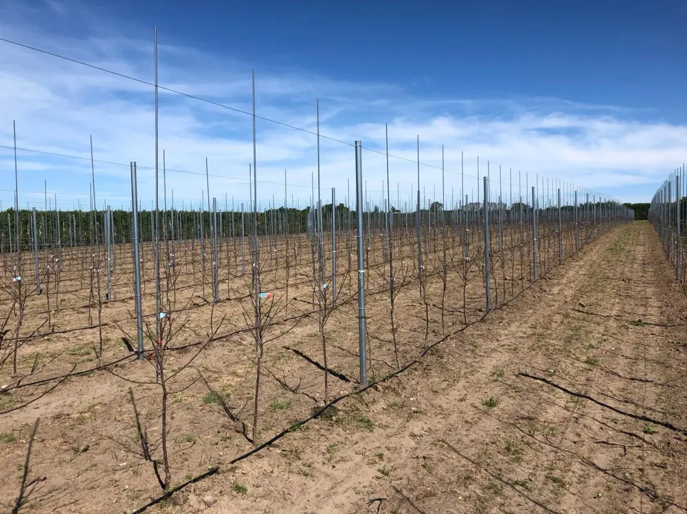 3660563a-55cc-465a-8b8b-e075c253860d