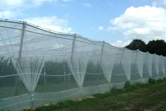 filet paragrêle en mono parcelle