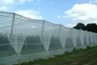 filet paragrêle en mono parcelle