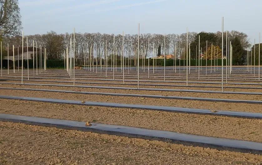 Capture d'écran 2025-11-12 101812webp