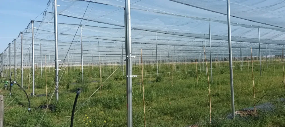 Capture d'écran 2025-11-12 101904webp