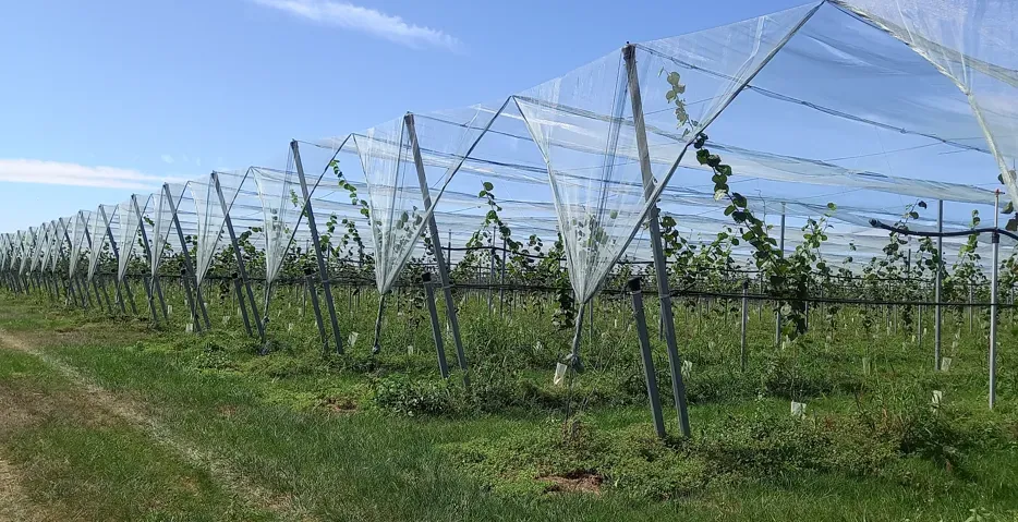 Capture d'écran 2025-11-12 101932webp