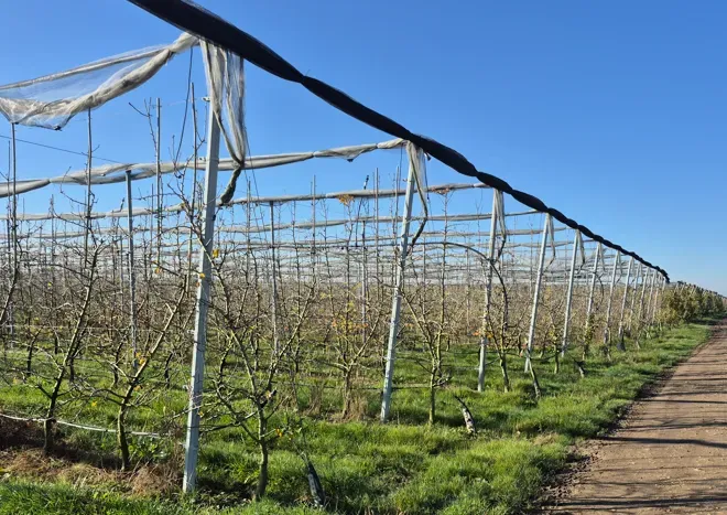 Capture d'écran 2025-11-12 101957webp