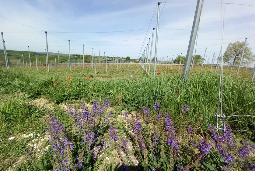 Capture d'écran 2025-11-12 101838webp