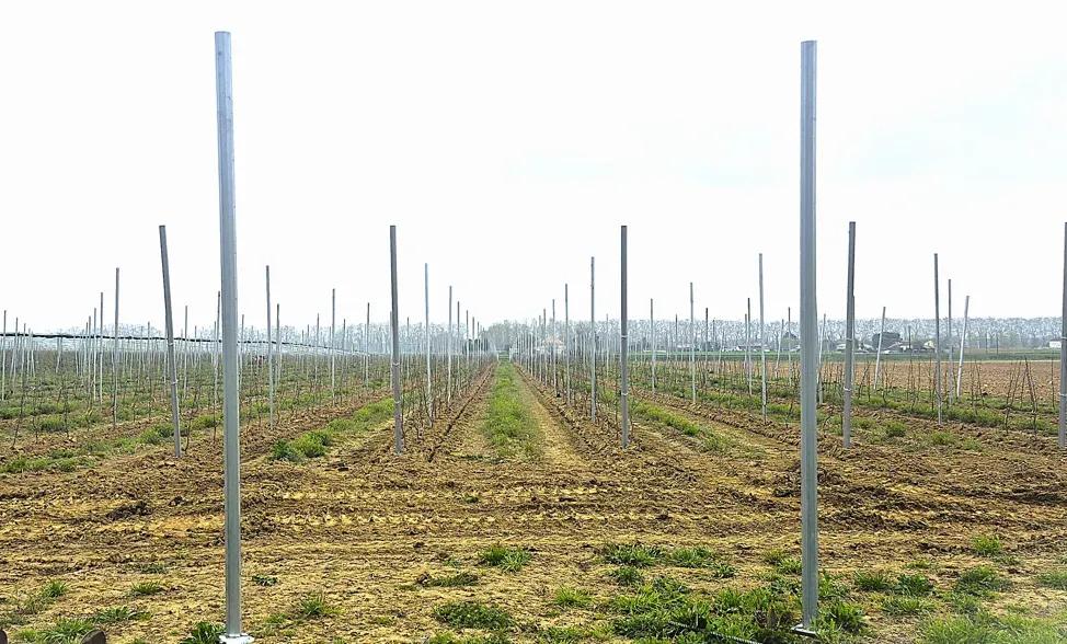 Capture d'écran 2025-11-12 102016webp