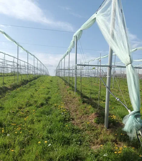 Capture d'écran 2025-11-12 102244webp