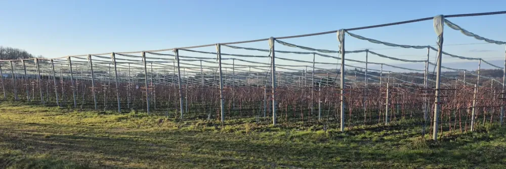 Capture d'écran 2025-11-12 102006webp