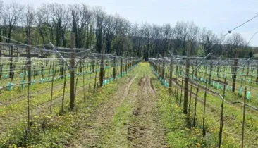 Capture d'écran 2025-11-12 102201webp