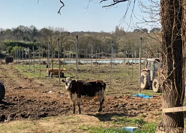 Capture d'écran 2025-11-12 102254webp