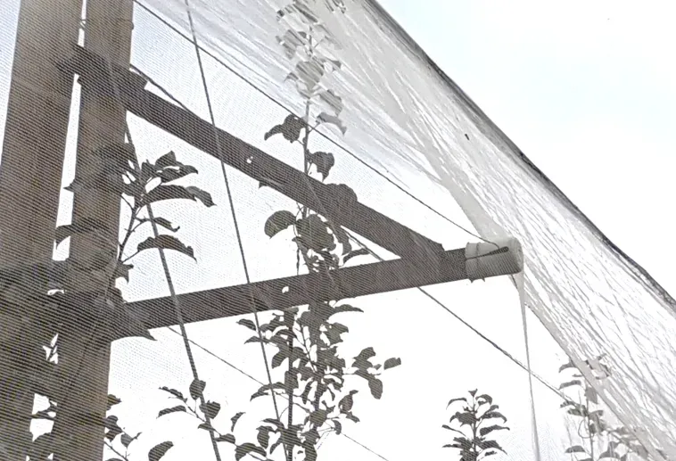 Capture d'écran 2025-11-12 102227webp