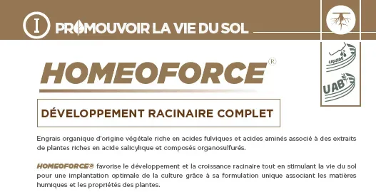 homeoforce